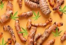 Photo of Steigern Sie Ihre Entgiftung mit diesen 4 Detox CBD Rezepten