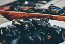 Photo of Grünlippmuschel und CBD für die Beweglichkeit des Hundes